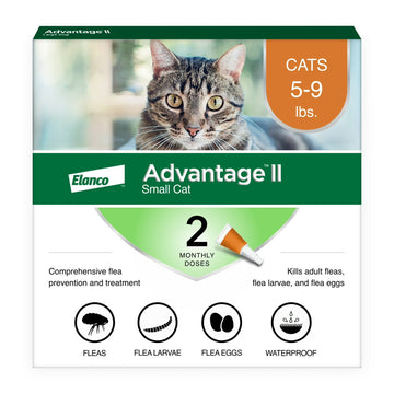 Advantage II Small Cat Flea Treatment & Prevention – Vet Recommended | For Cats 5-9 lbs | 2-Month Supply